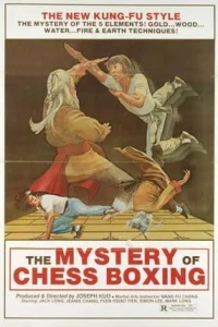  Магия шахматного бокса 